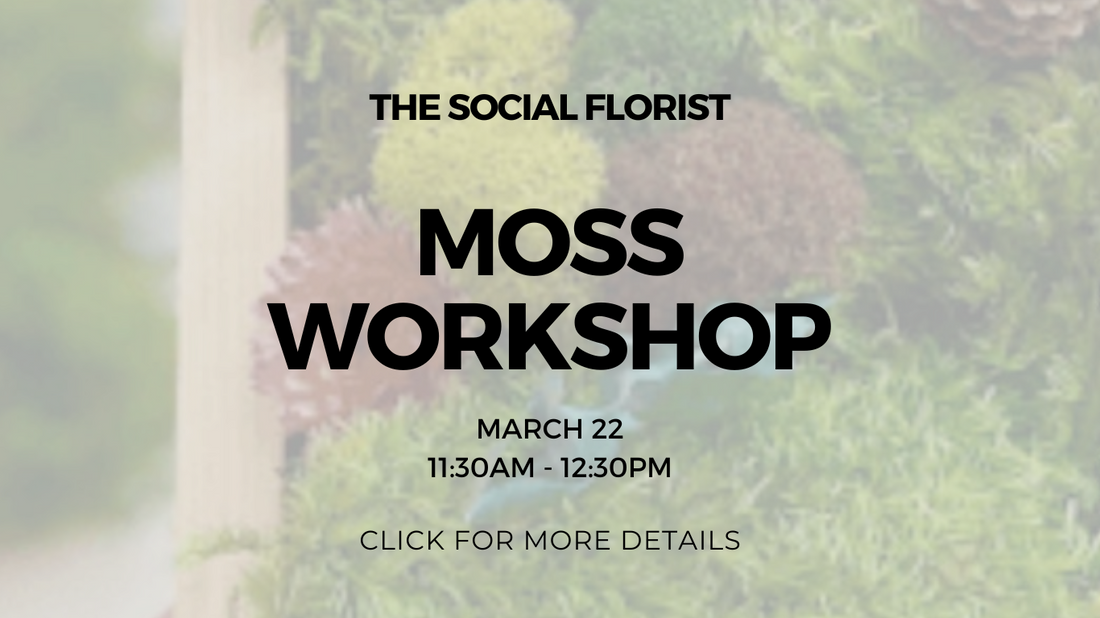 Moss Workshop