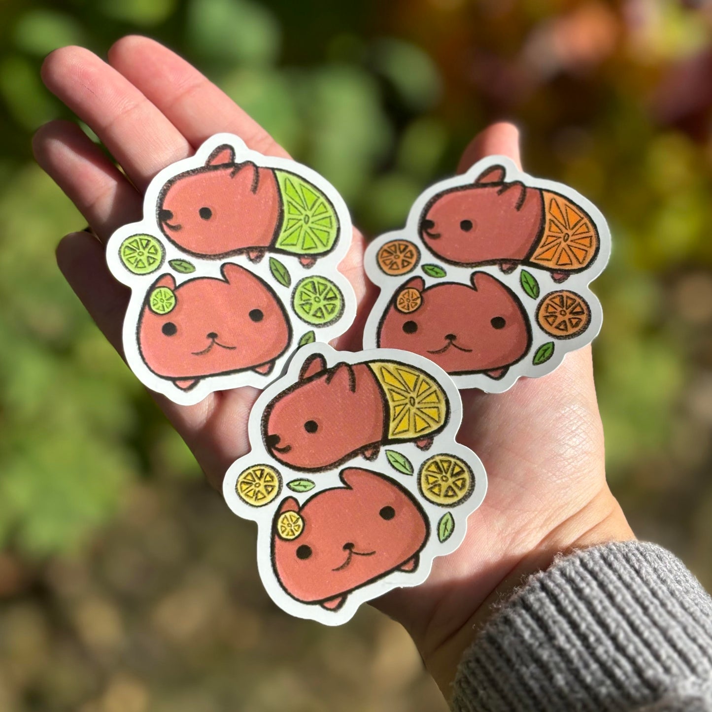 Capybara Fruit Sticker