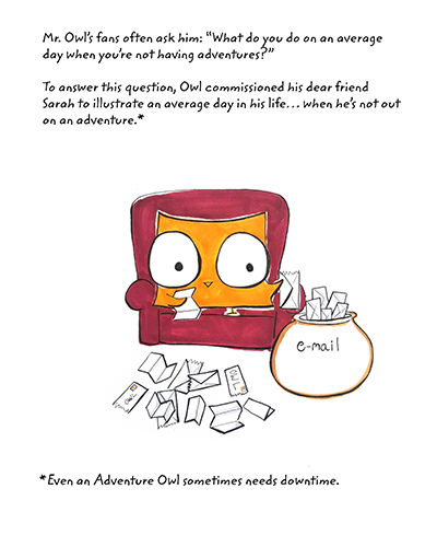 Owl's Everyday Adventures Book