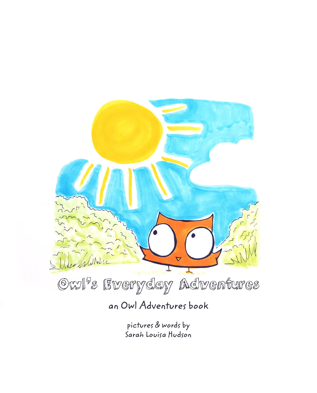 Owl's Everyday Adventures Book