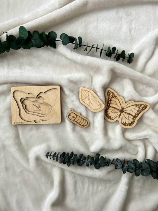 Butterfly Life Cycle Puzzle